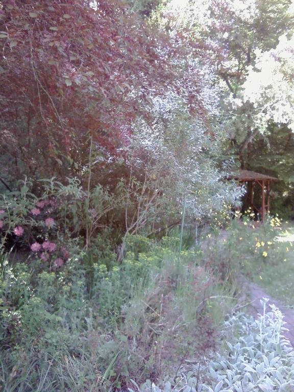 Fairview Manor Bed And Breakfast Ben Lomond Екстер'єр фото